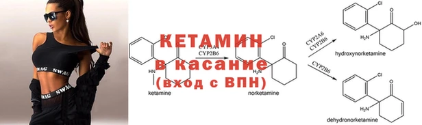 круглые Алексеевка